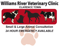 Cliftleigh NSW Vet Canberra