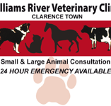 Morpeth Veterinary Hospital - Vet Canberra