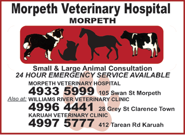 Morpeth Veterinary Hospital - Vet Canberra 3