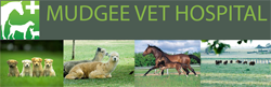 Piambong NSW Vet Canberra