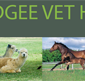 Mudgee Veterinary Hospital - Vet Canberra