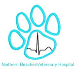 Northern Beaches Veterinary Hospital - Vet Canberra 0
