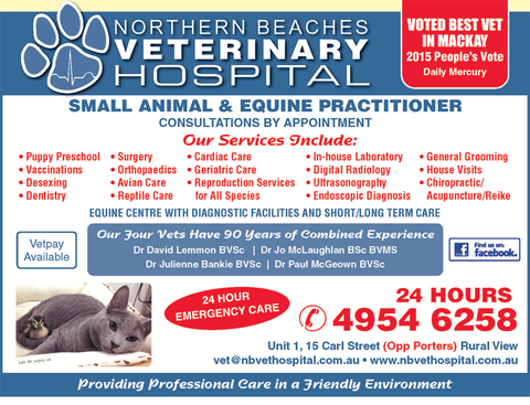 Northern Beaches Veterinary Hospital - Vet Canberra 3