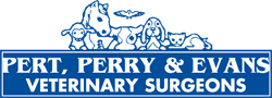 Pert, Perry & Evans Veterinary Surgeons - Vet Canberra 0