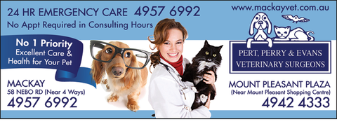 Pert, Perry & Evans Veterinary Surgeons - Vet Canberra 1