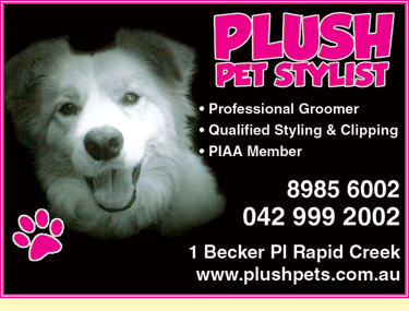 Plush Pet Stylist - Vet Canberra 4