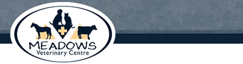 Meadows Veterinary Centre - Vet Canberra 0