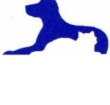 Dr Stephen Crouch Gawler South Small Animal Hospital - Vet Canberra