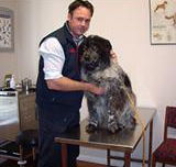 Sunbury All Creatures - Vet Canberra