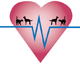 Highett Street Veterinary Hospital - Vet Canberra