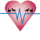 Highett Street Veterinary Hospital - Vet Canberra 0