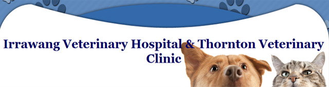 Raymond Terrace NSW Vet Canberra