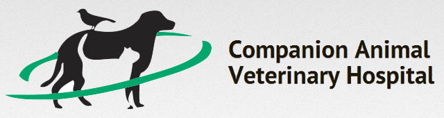 Haywards Bay NSW Vet Canberra