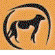 Liverpool Veterinary Hospital