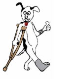 Richmond NSW Vet Canberra