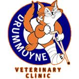 Drummoyne Veterinary Clinic - Vet Canberra