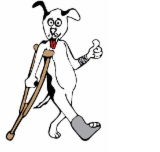 Wilberforce Veterinary Hospital - Vet Canberra