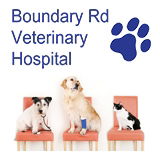 Boundary Road Veterinary Hospital Peakhurst - Vet Canberra