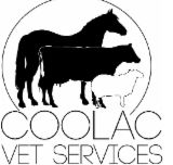 Coolac Veterinary Services - Vet Canberra