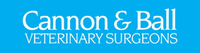 Wollongong NSW Vet Canberra