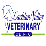 Lachlan Valley Veterinary Clinic - thumb 0
