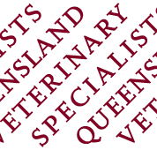 Queensland Veterinary Specialists - Vet Canberra