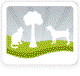 Acacia Animal Care Holistic Vet Herbal Medicine Acupuncture Reiki Homeopathy Structural Balancing Nutrition - Vet Canberra