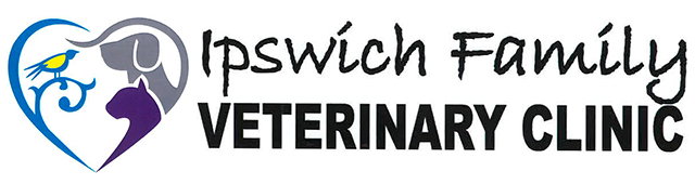 Ipswich QLD Vet Canberra
