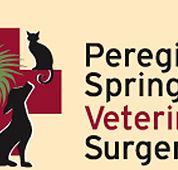 Peregian Springs Veterinary Surgery - Vet Canberra