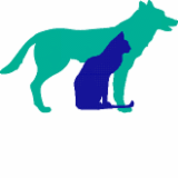 Pine Mountain Vet Clinic - Vet Canberra