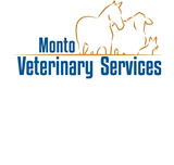 MontoVet Surgery - Vet Canberra