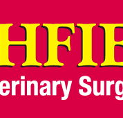 Highfields Veterinary Surgery - Vet Canberra