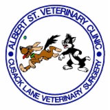 Albert Street Veterinary Clinic - Vet Canberra 0