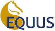 Equus Muscle Management - Vet Canberra 0