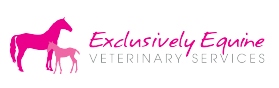Hatton Vale QLD Vet Canberra