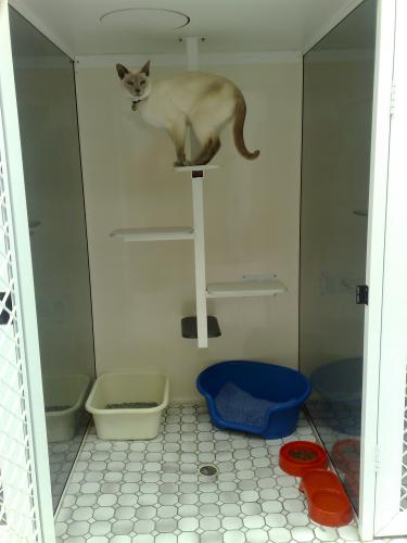 Rathmines Veterinary Hospital - Vet Canberra 3