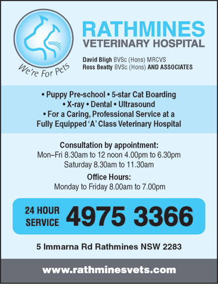 Rathmines Veterinary Hospital - Vet Canberra 4