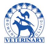 Seth McIntosh Bowen Vet - Vet Canberra