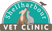 Book Shellharbour Accommodation Vacations Vet Canberra Vet Canberra