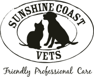 Sunshine Coast Vets - Vet Canberra 0