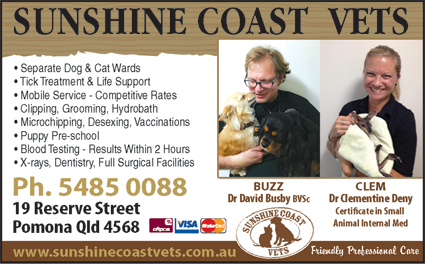 Sunshine Coast Vets - Vet Canberra 1