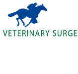 Turner Veronica Veterinary Surgeon - Vet Canberra