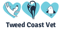 Tweed Coast Vet