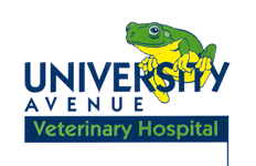 University Avenue Veterinary Hospital - Vet Canberra 0