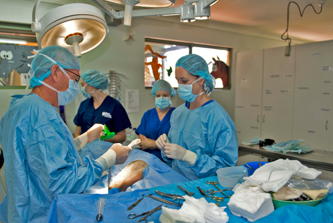 University Avenue Veterinary Hospital - Vet Canberra 1