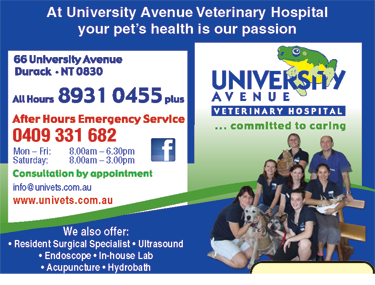 University Avenue Veterinary Hospital - Vet Canberra 7