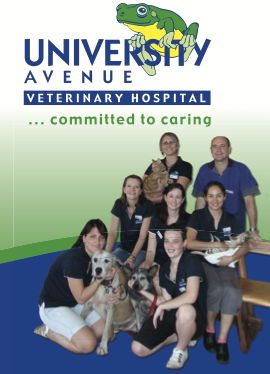 University Avenue Veterinary Hospital - Vet Canberra 11