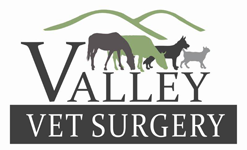 Valley Vet Surgery - Vet Canberra 0