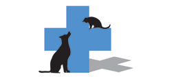 Vet To Pet - Vet Canberra 0