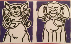 Veterinary Clinic Noosa Heads Pty Ltd - Vet Canberra 0